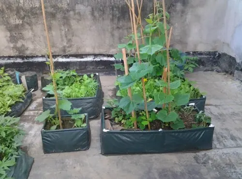 Aliexpress Eco Friendly Waterproof Garden Vegetables Grow Eco Friendly Waterproof Garden Vegetables Grow Planter Bag 90x60x25cm