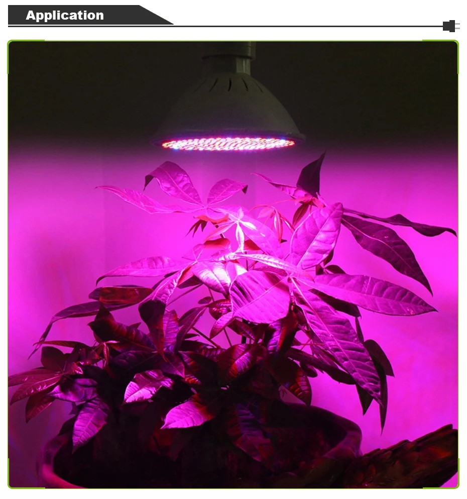 2_13