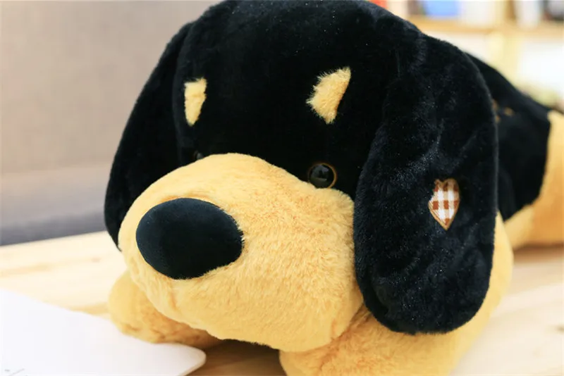 puppy dog14