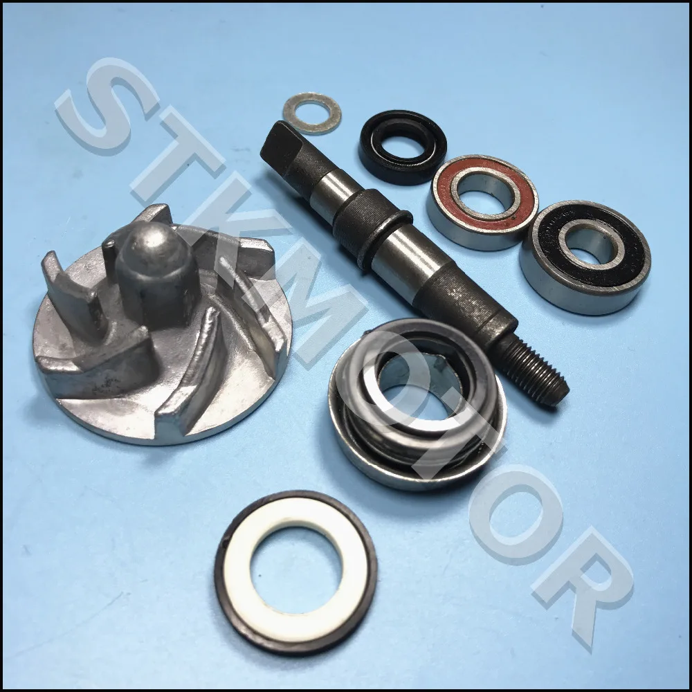Bashan 200CC BS200 ATV Quad водяной насос Assy запасные части|atv spare parts|bashan 200ccatv quad |