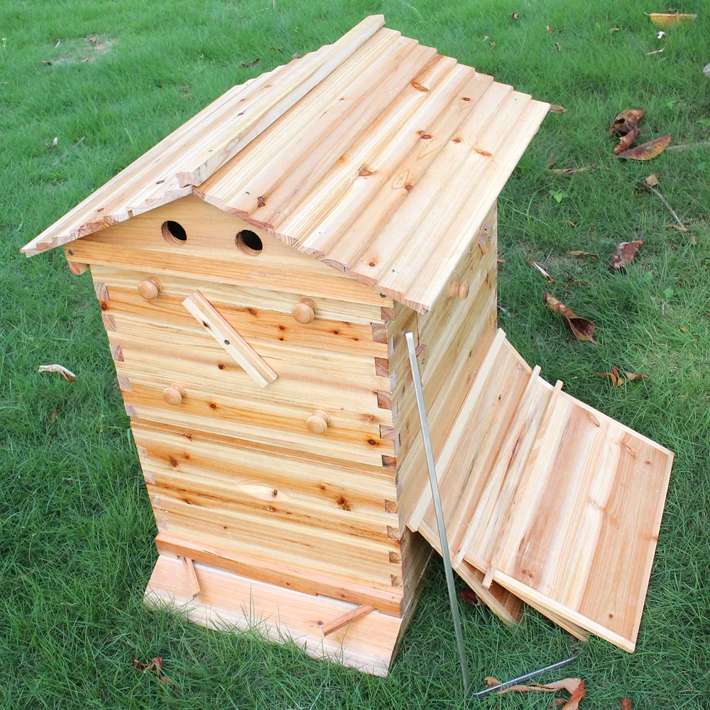 7PCS Upgraded Automatic Honey Bee Frames and Beehive Beekeeping Wooden House Set 