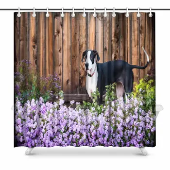 

Great Dane Dog Standing in Flowering Purple Lantana Bathroom Decor Shower Curtain Set with Hooks