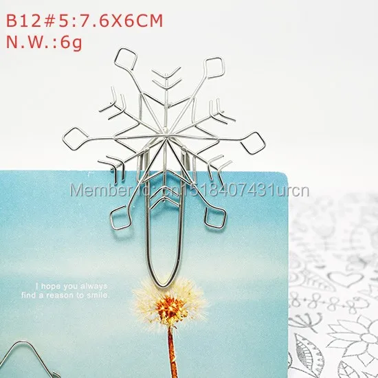 B81#5