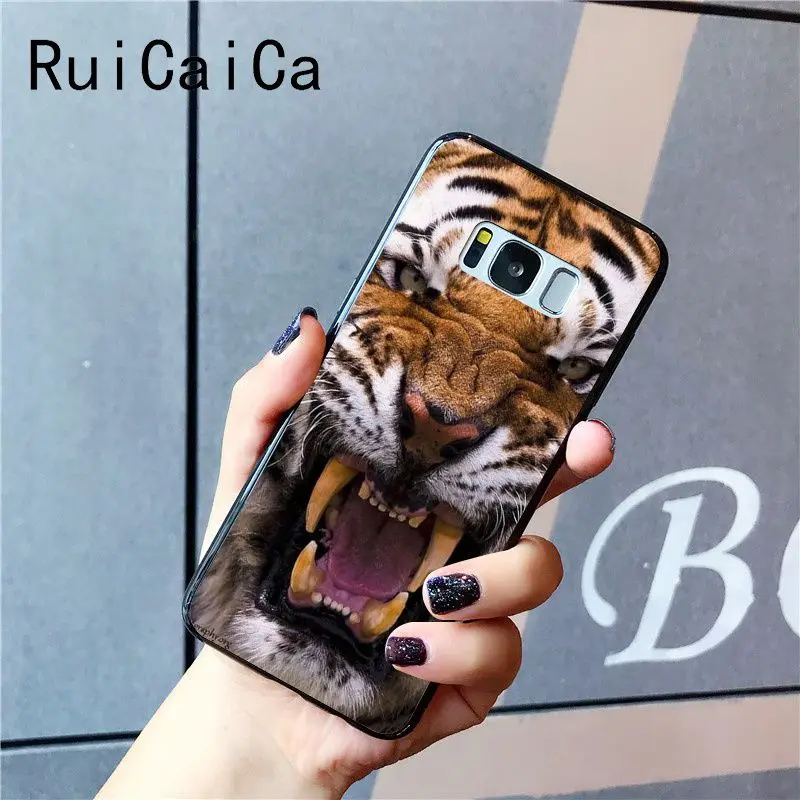 tiger fashion