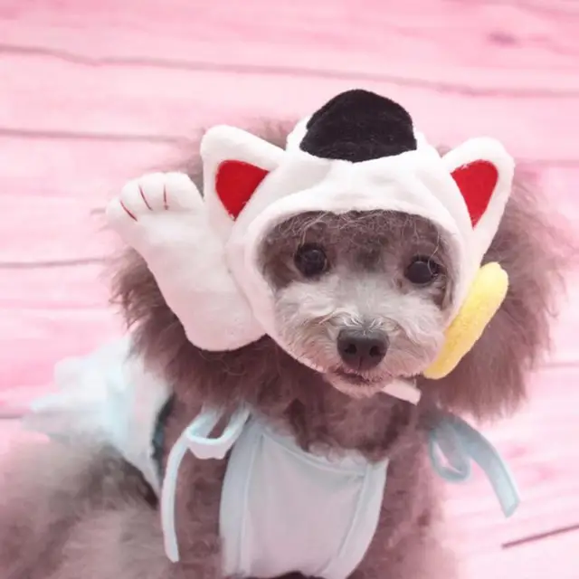 Cute Dog Hat Hood Teddy Pet Dogs Personality Hat Beautiful Nice Animal Shape Dress Up Lovely