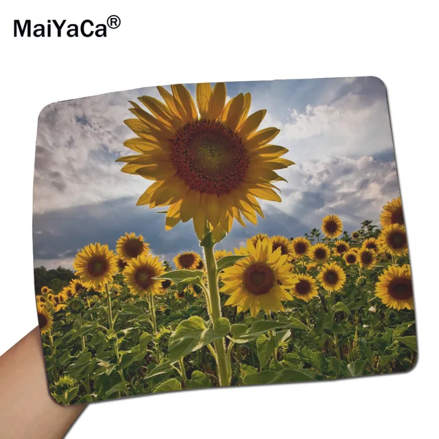 Cool Sunflower Images