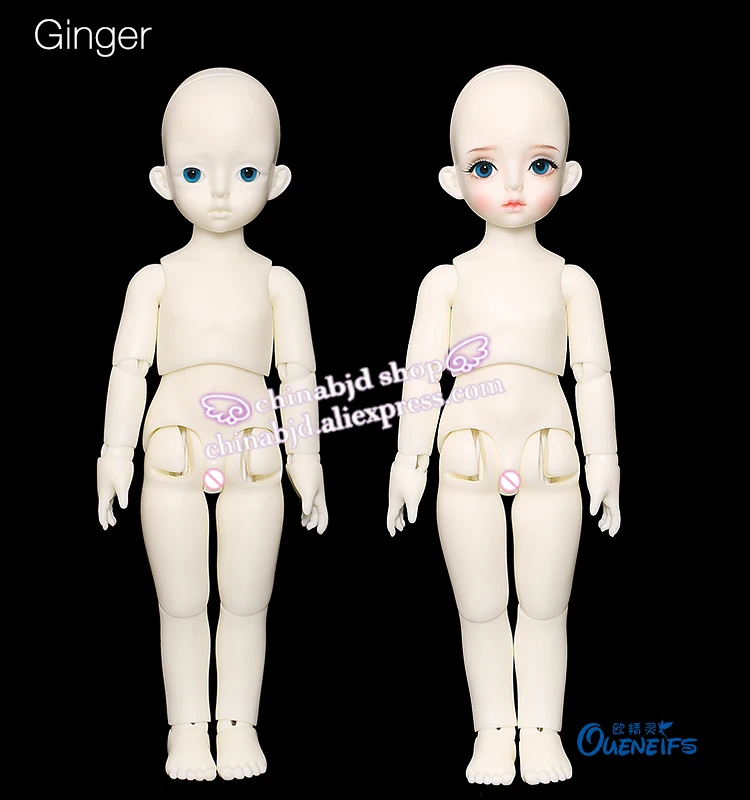 GingerBody