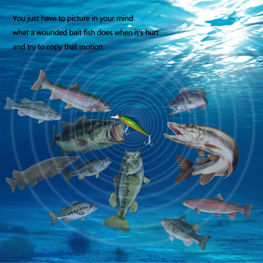 vcxv