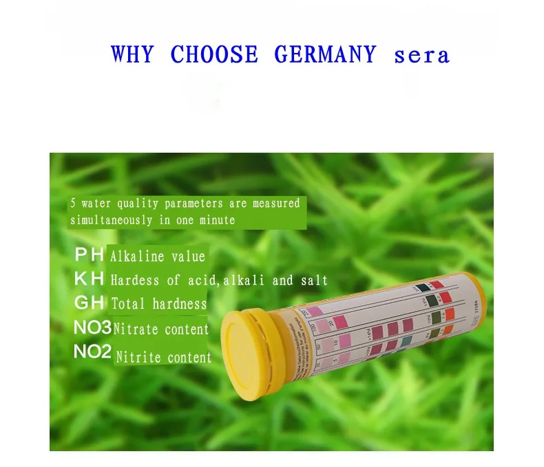 04_conew1