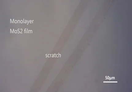HTB1MME1X5LxK1Rjy0Ffq6zYdVXaC (1)_