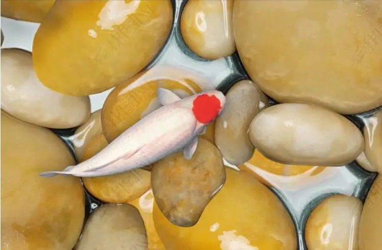 36020190220105733704