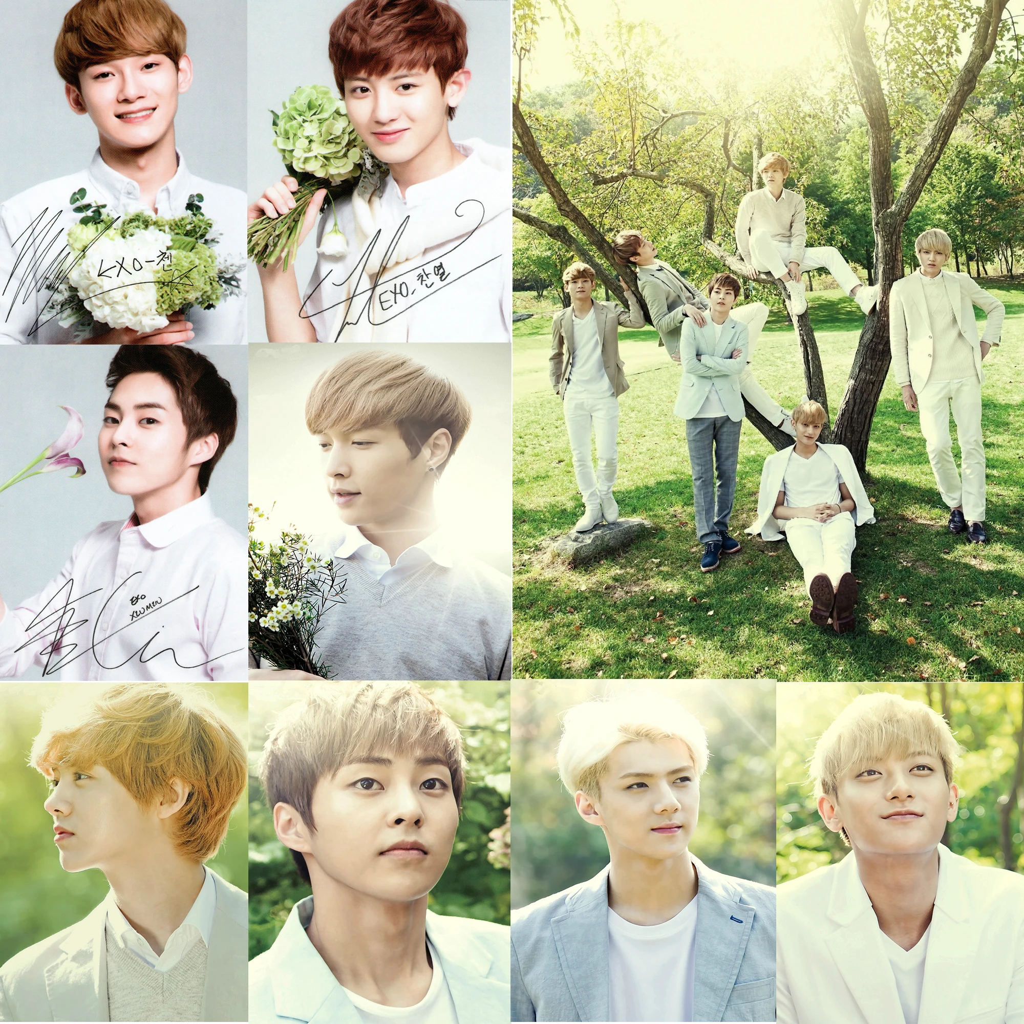 

EXO Posters K-Pop Wall Stickers Home Decoration Nature White Coated Paper