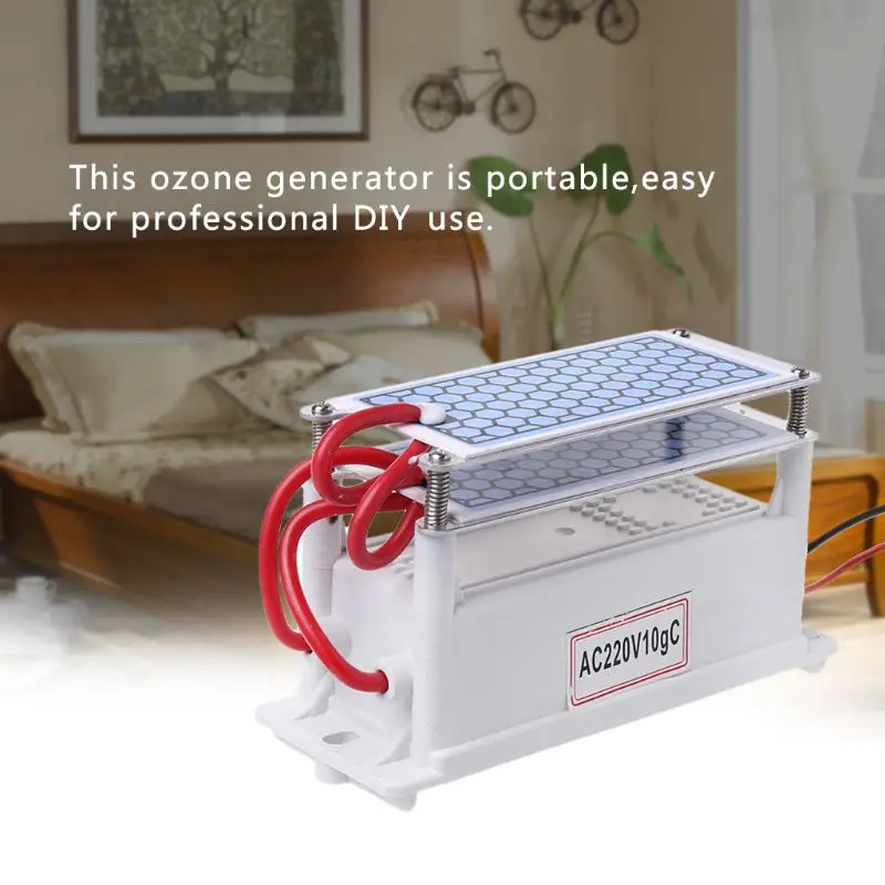 

220V 10g/h Ceramic Plate Ozone Generator Double Integrated Ozonizer Sterilizer Air Water Purifier