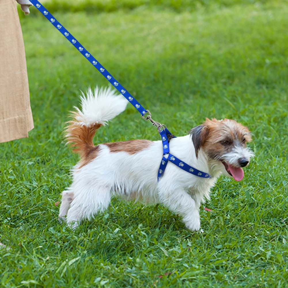 Нейлоновый Поводок для собак и поводок, регулируемый собачий поводок с принтом лапы, поводок для прогулок, ремень для маленьких и средних собак, S/M/L