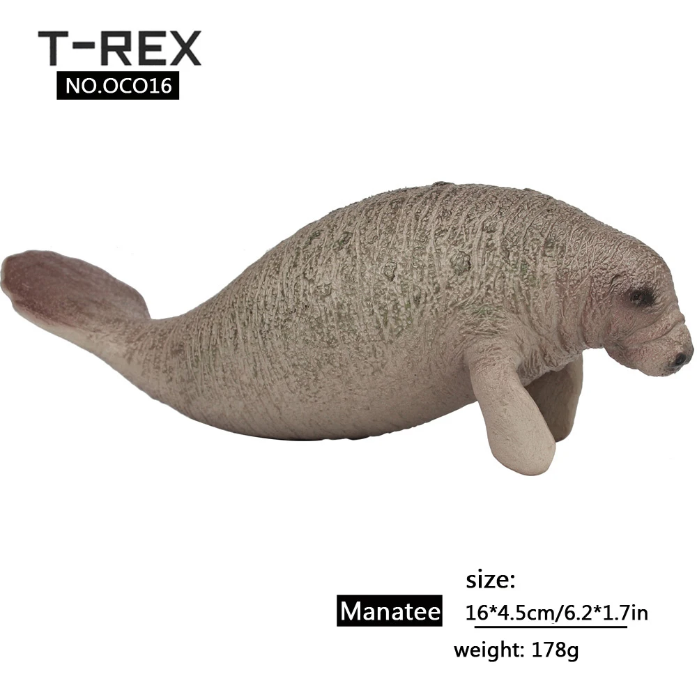 manatee