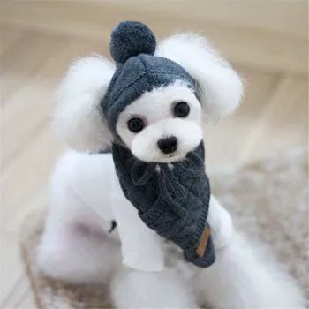 

Winter Outfit For Pet Products Clothes Cat Collar Pets Product Dog Suit Cap And Scarf Shop Supplies Accessories Sweater Clothing