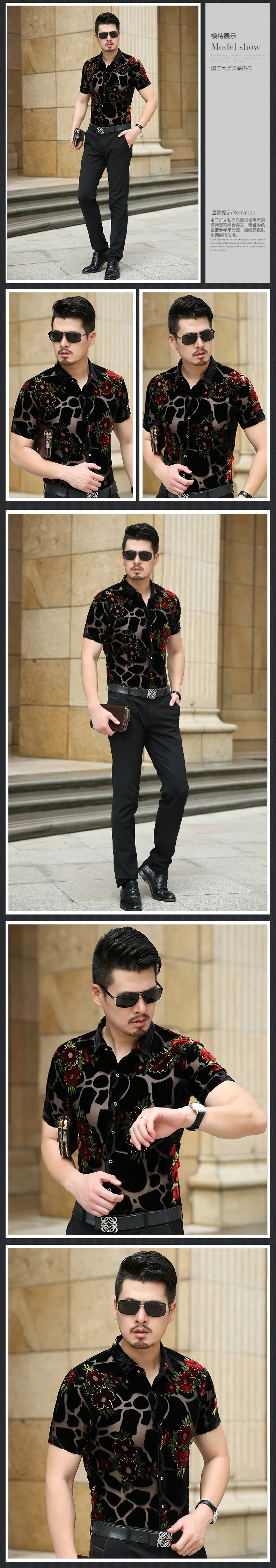 3986173294_2000716706