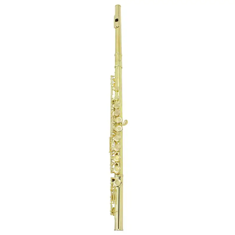 

SLADE Flute Cupronickel Plated Silver 16 Holes C Key Woodwind