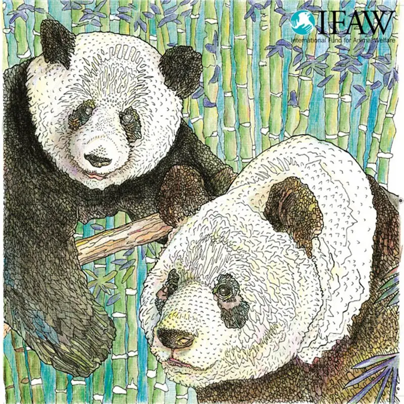 Voorzieningen Geestelijk oppakken 96 pagina's Bedreigde Dieren Kleurboek Voor Volwassenen Kinderen Kleurboek  Graffiti Schilderij Tekening Art Kleurboeken Geschenken|art coloring  books|books for adultscoloring books for adults - AliExpress