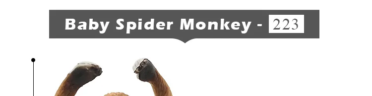 -10--DW-M-MY89-114-120_48