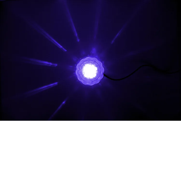 8746843981_1288510619