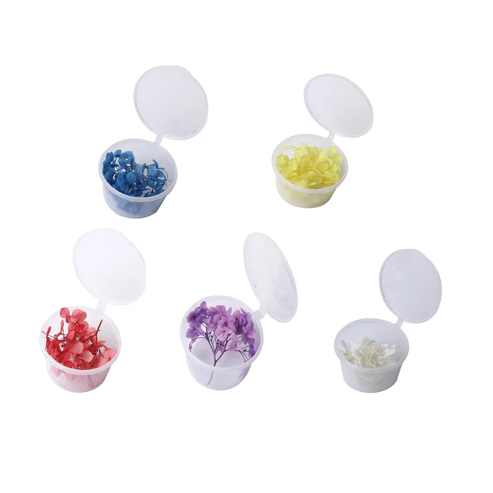 

Plastic Resin Jewelry Tools Round Orange-red Dried Flower Jewelry Making for DIY Gift, 1 Box