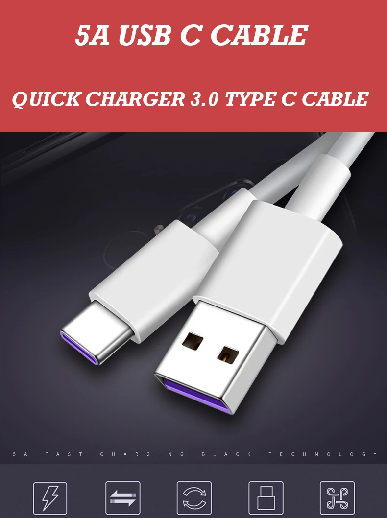 Type C Cable (1)
