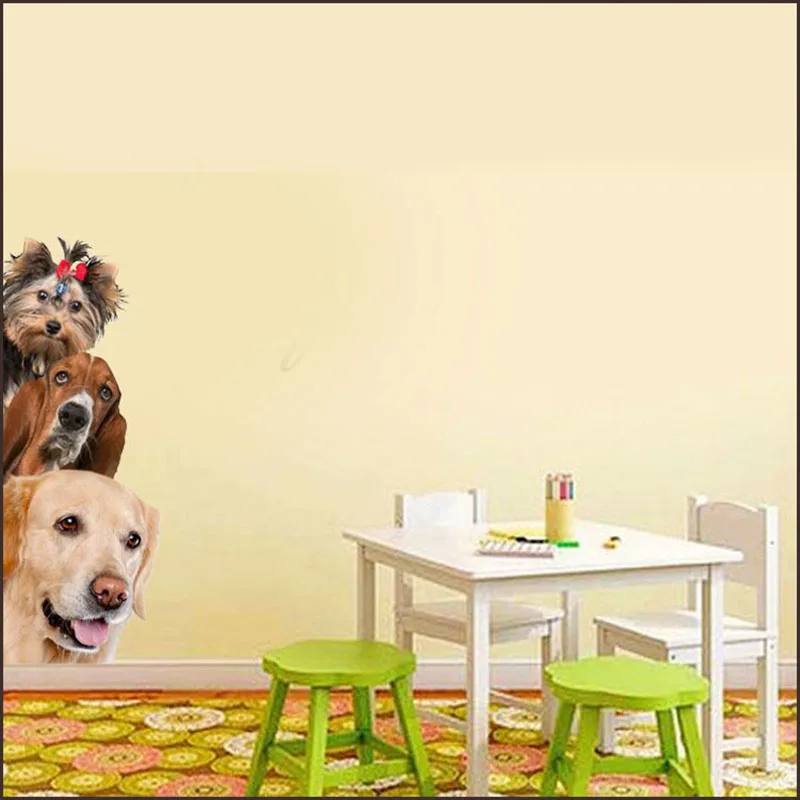 4555526039_717661661