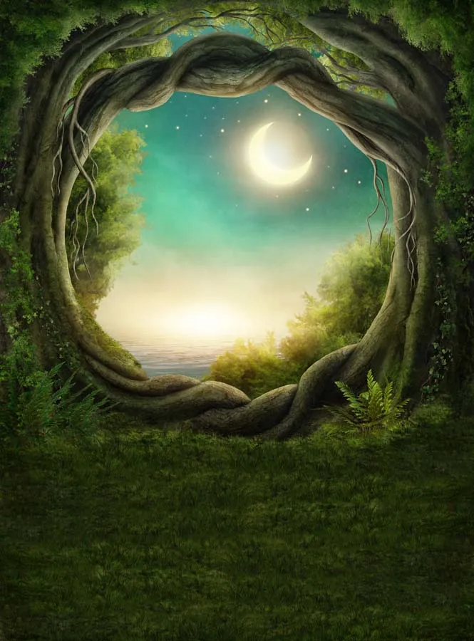 5 X7Ft Green Forest Tree Roots Path Tunnel Moon Sky Sea View Custom Photo Studio Sfondo Vinile 220Cm X 150Cm