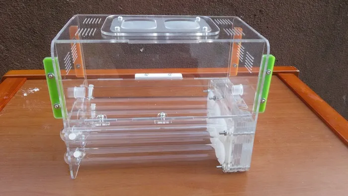 ant-house (5)