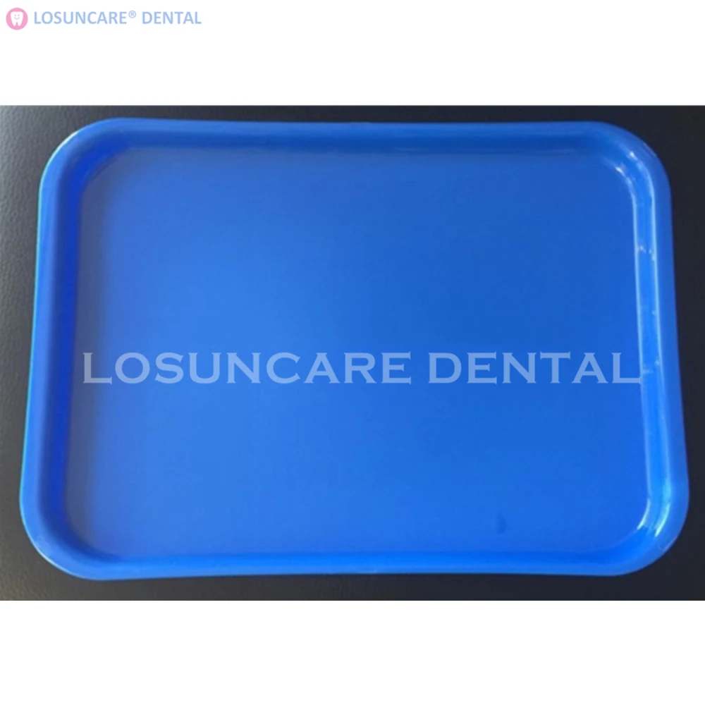 4pcs Dental Instrument Autoclavable Large Size Blue Color Plastic Trays