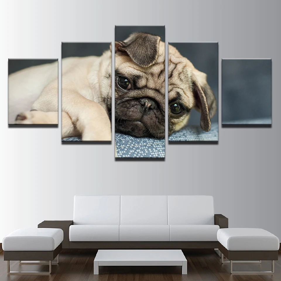 Cute Pug Puppies Pictures Animal Dog Poster