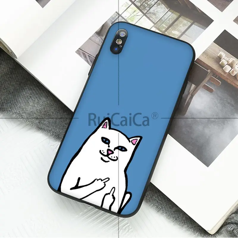 Art middle finger cat