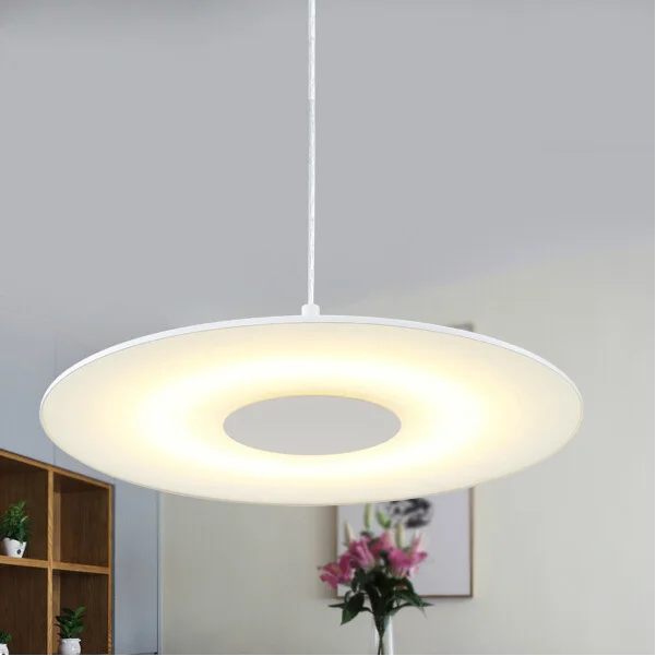 

Modern LED pendant lights for dining room Dia*490mm 24W home decoration lamp fixturex free shipping