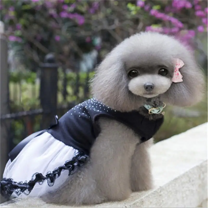 

Warm Pet Dog Clothes Hoodie Small Dog Sweaters Coats Cotton Puppy Clothing Outfit for Chihuahua Dog jacket