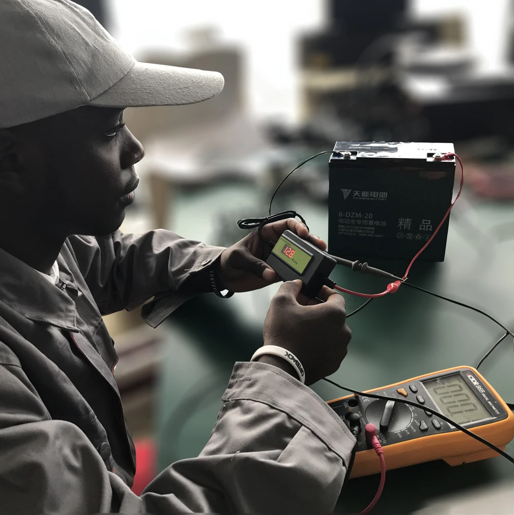 Universal Multi-Voltage Battery Desulfator & Maintainer
