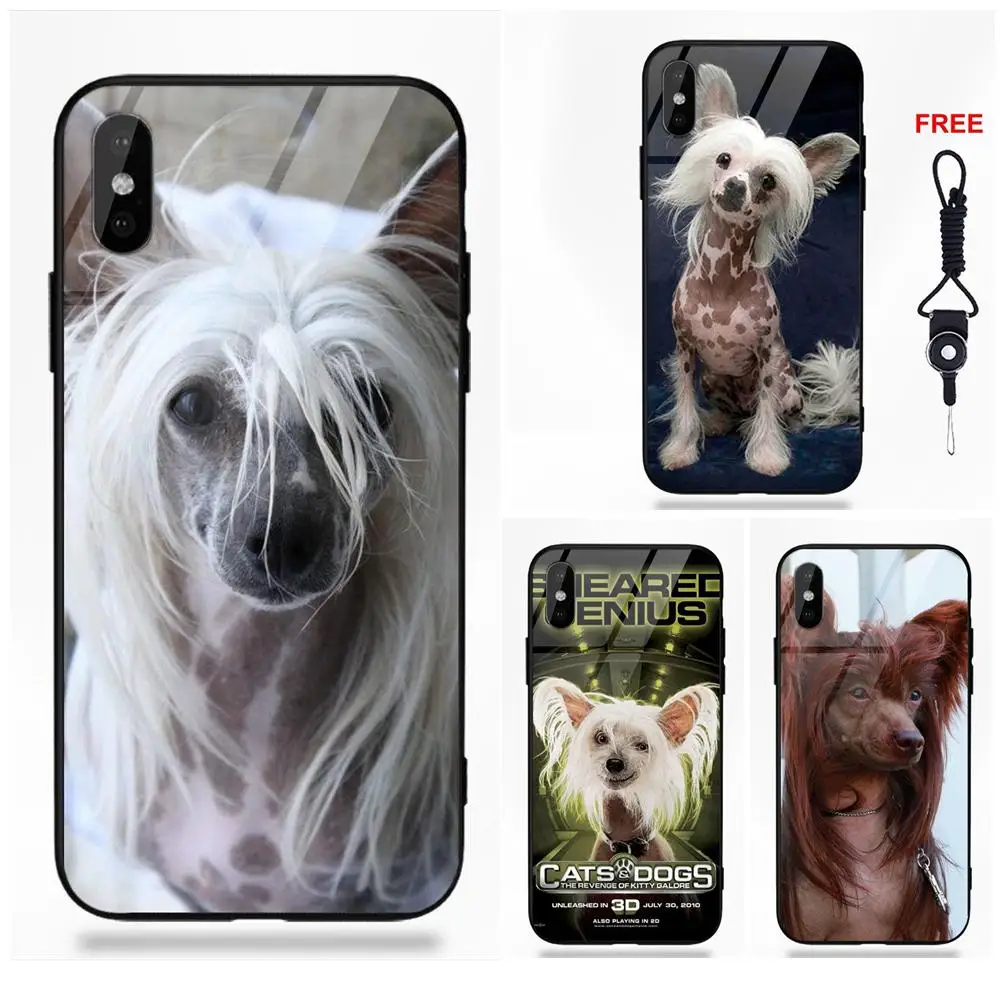 

Cute Dog Of Breed Chinese Crested Soft TPU Frame Tempered Glass Cell Bags For Apple iPhone 5 5C 5S SE 6 6S 7 8 Plus X XS Max XR