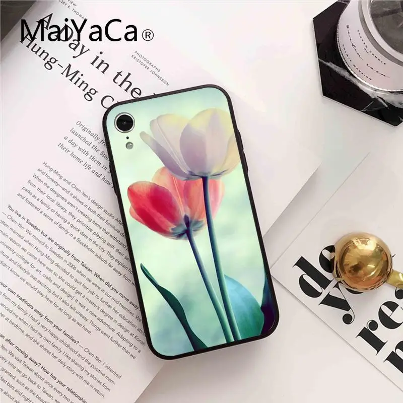 Flower Lotus Tulip
