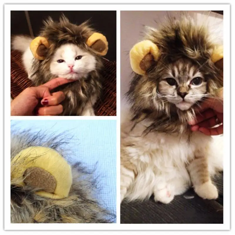 King of the Jungle Puppy Pet Costume Cosplay Mane ...
