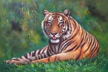 

Handicrafts Art Repro oil painting:Tiger In canvas 24x36"