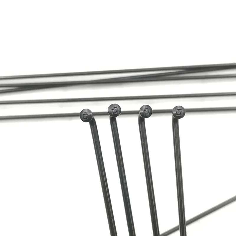 4 X DT-SWISS Champion 312 mm 2,0//2,34 Mm Straight Pull//J-Bend Noir//Argent