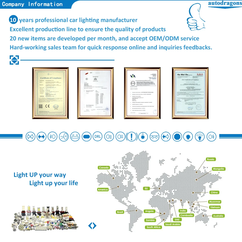 4 Company Information