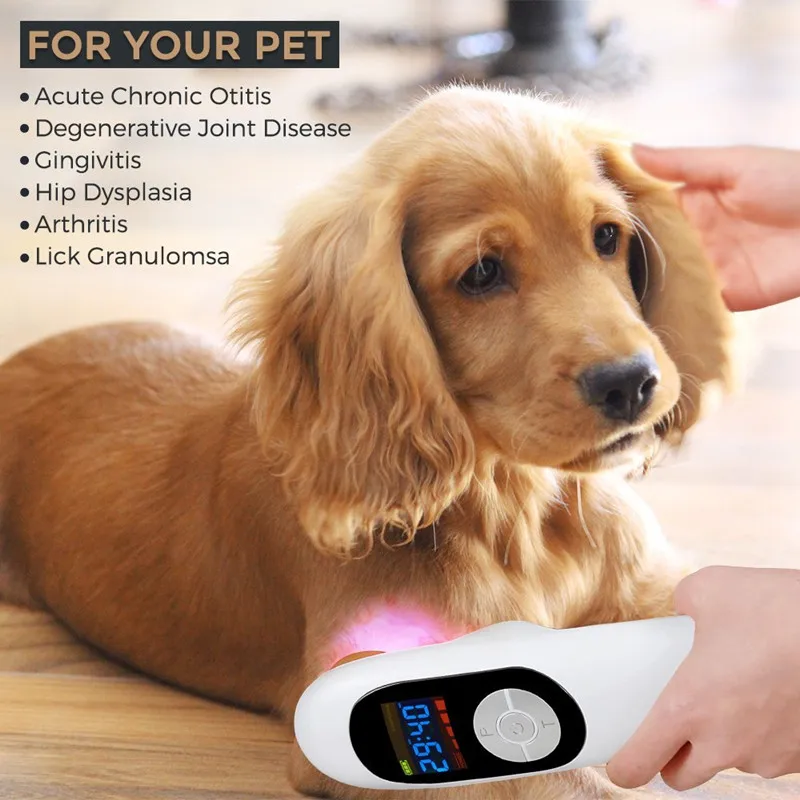 

Portable rechargeable lllt Animals Pain Relief device pets dogs cats horses wound healing instrument animals cold laser therapy