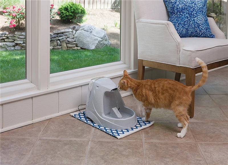 Pet Fountain05