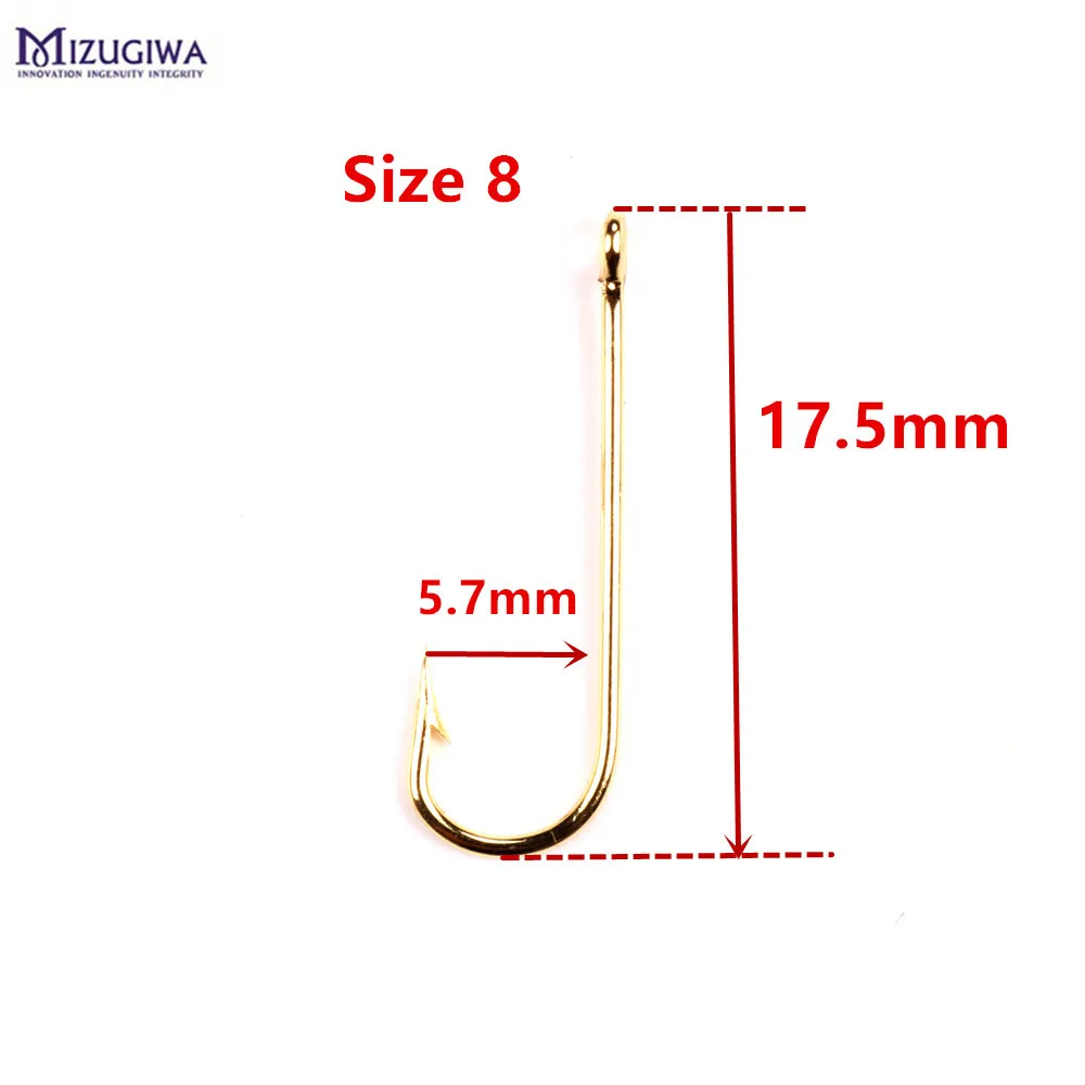 RAY_1295_size 8