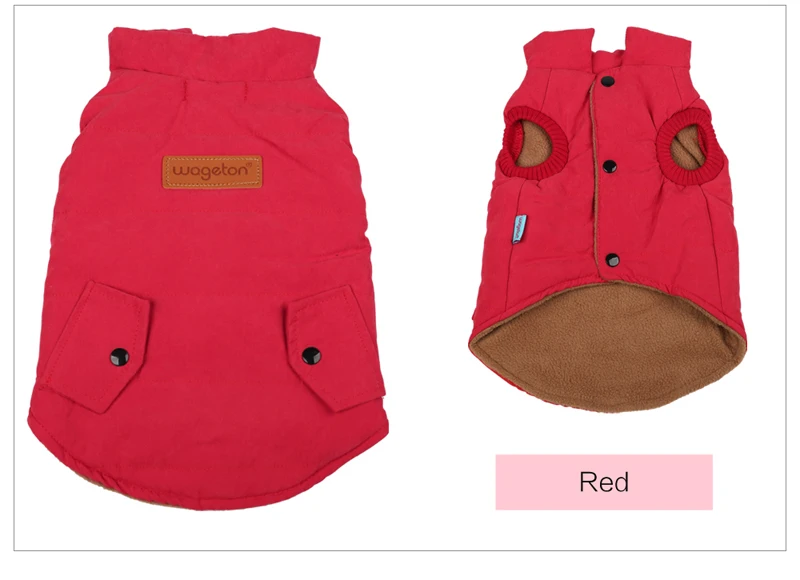 10 dogs clothes 