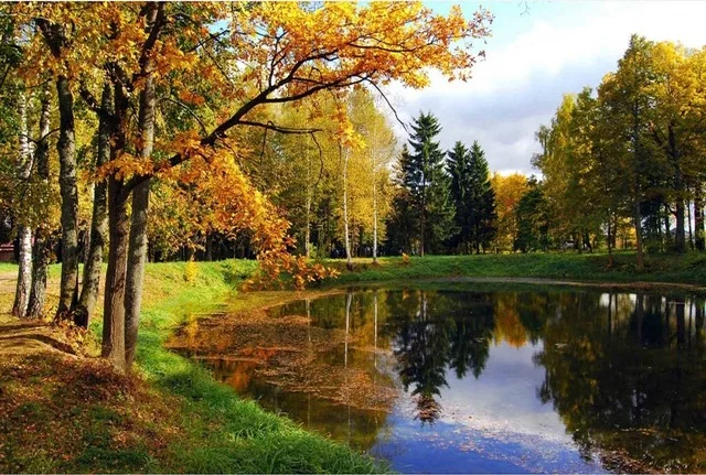 Осеннее Подмосковье Фото