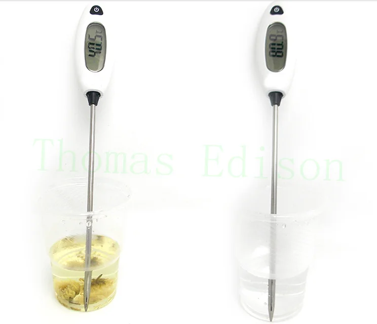 Food temperature measurement instrument with high precision electronic