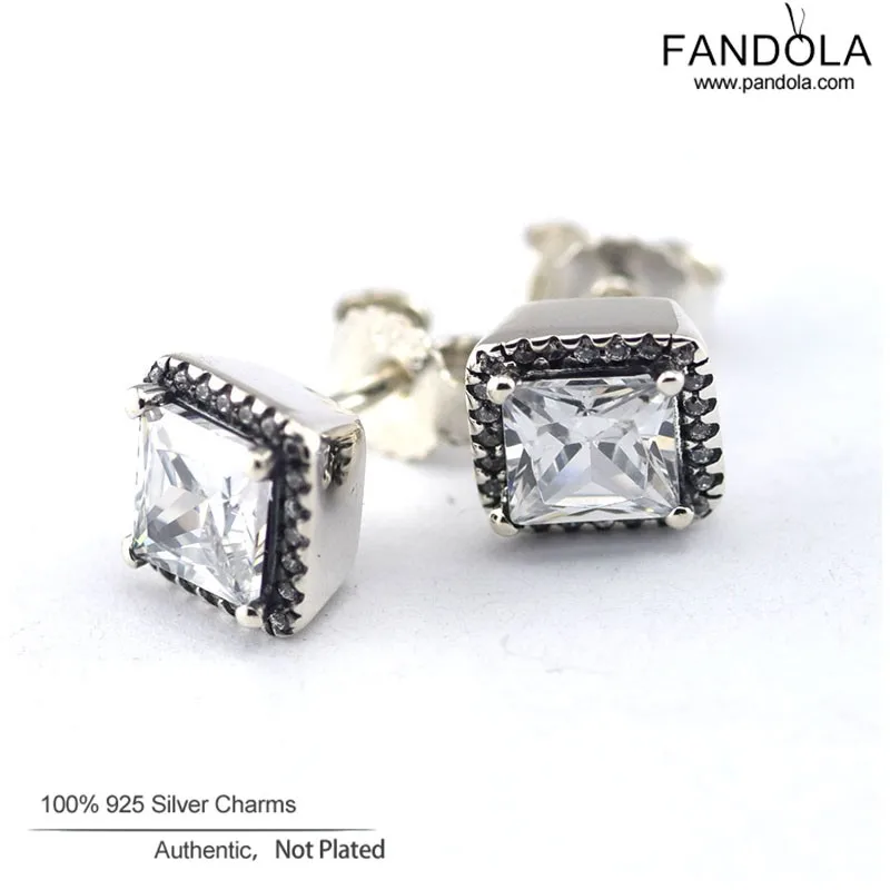 encased elegance silver earring