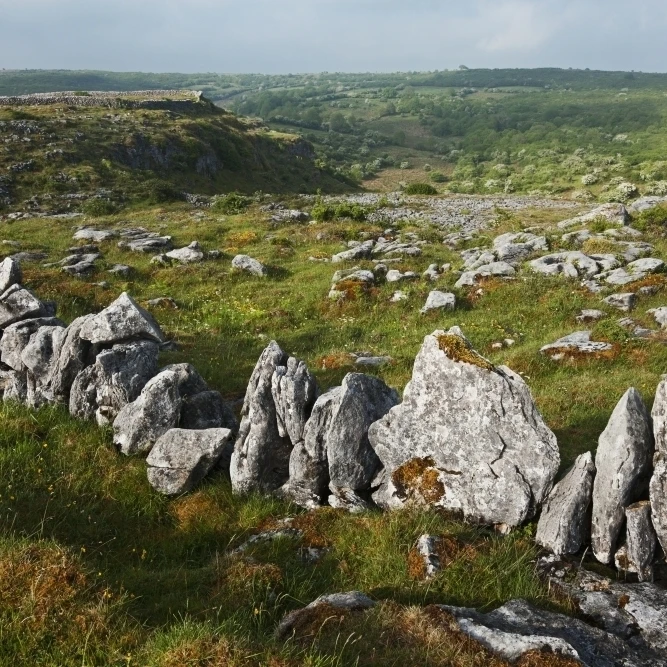 Stone wall  near Kilfenora; Burren  County Clare  Ireland Poster Print (38 x 24)